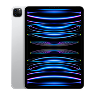 Home 13 iPad