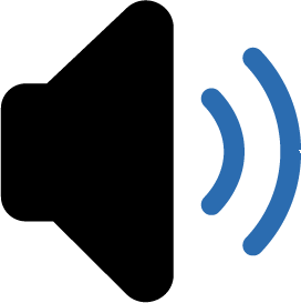 110112Speaker Issue Icon